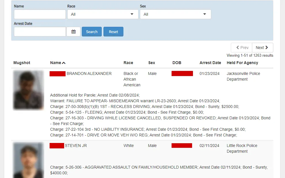 Screenshot of the online inmate search tool of Pulaski County Sheriffs Office, displaying the search fields and the results with the inmates' mugshots, names, races, sexes, birthdays, arrest dates, agencies, charges, and other events.