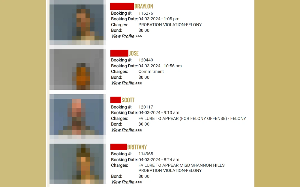 A screenshot displaying an inmate roster from the Saline County Sheriff’s Office website showing the mugshot photo and information such as complete name starting with the last name, booking number, date, charges, bond and a clickable "view profile."